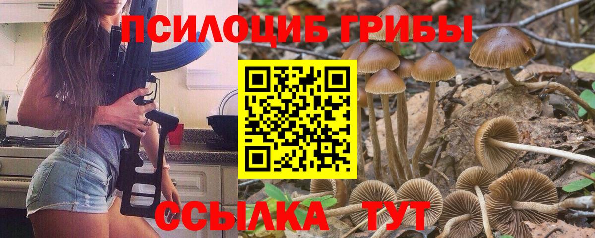Галлюциногенные грибы мицелий Красноярск