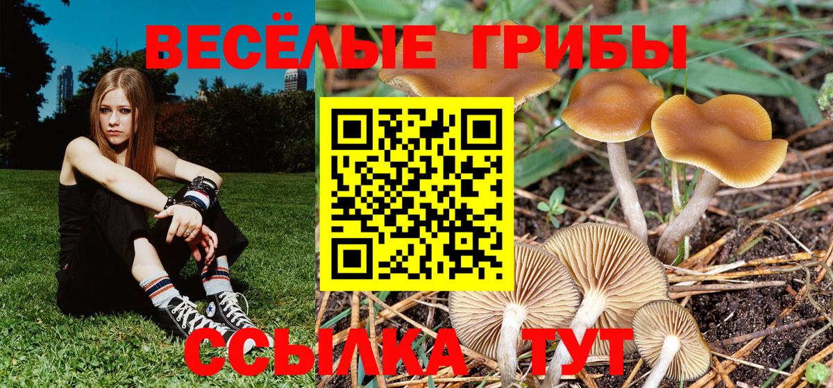 Псилоцибиновые грибы MAGIC MUSHROOMS  Галлюциногенные грибы MAGIC MUSHROOMS  Вход с VPN  Красноярск 
